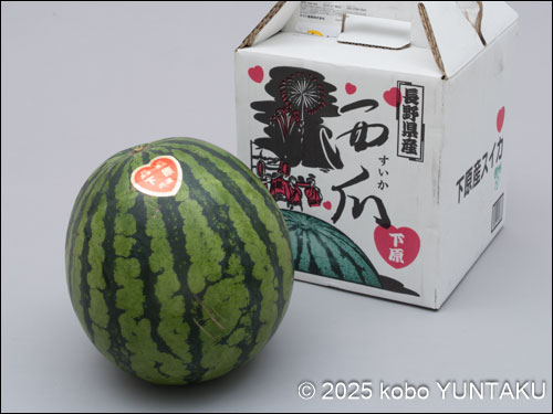 信州　下原産 　西瓜
